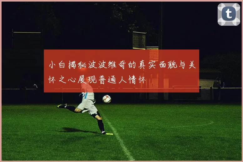 小白揭秘波波维奇的真实面貌与关怀之心展现普通人情怀